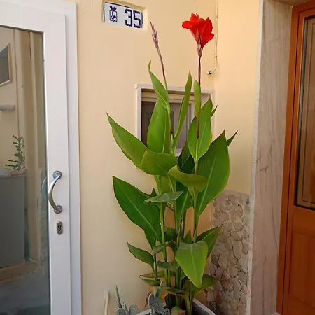 Marco Apartmán Gallipoli